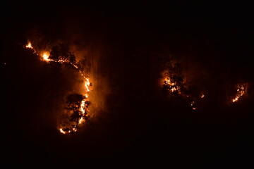 A nighttime forest fire with bright orange flames illuminating the dark trees in Meghalaya. 