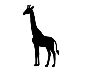 Giraffe silhouette, black and white image, simple animal logo, isolated icon on white background