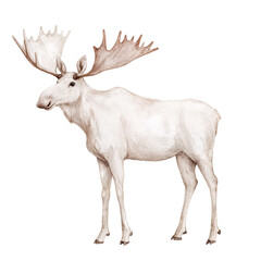 Gentle watercolor moose in soft pastel tones with majestic antlers. Perfect for nursery decor, children’s books, woodland themes, or nature-inspired illustrations