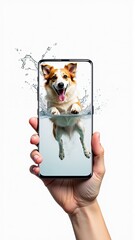 A cheerful corgi dog appears to leap from a phone screen held against a white background.