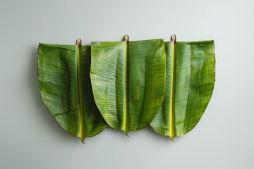 Fresh Green Banana Leaves on Light Background for Natural Decor