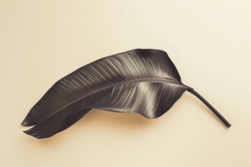 Monochrome Large Leaf on Soft Cream Background for Minimalist Design