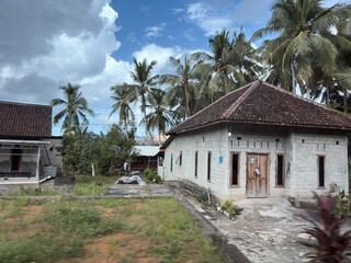 Traditional Indonesian house with a tile roof surrounded by palm trees and greenery.