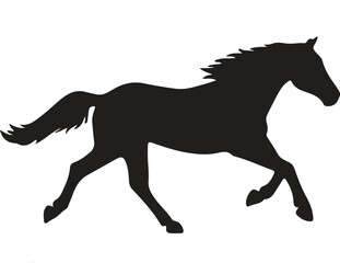 Horse Silhouette