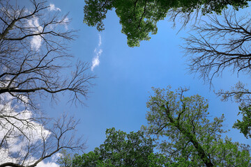 Nature on the edge: ecological contrast