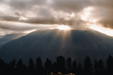 Sunrise in the mountains.  At 6,900 feet,  serene meadows, pine forests, and proximity to the Great Himalayan National Park, Sainj Valley of Kullu District, Himachal Pradesh, India.
