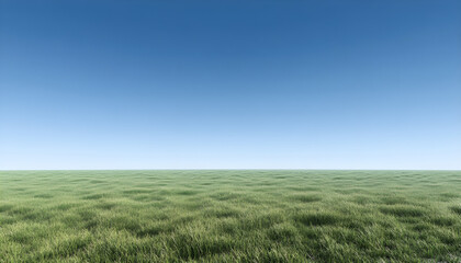Obraz premium Green grass field with beautiful blue sky stretching into empty space
