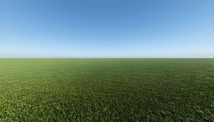 Obraz premium Green grass field with beautiful blue sky stretching into empty space