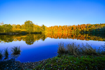 View of the autumn landscape at the Holzmaar near Gillenfeld. Idyllic nature by the lake in the Volcanic Eifel region of Rhineland-Palatinate.
