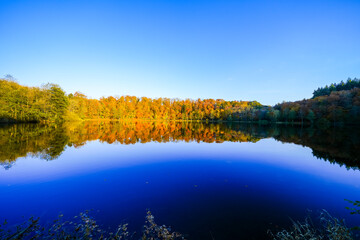 View of the autumn landscape at the Holzmaar near Gillenfeld. Idyllic nature by the lake in the Volcanic Eifel region of Rhineland-Palatinate.
