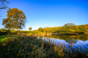 View of the autumn landscape at the Holzmaar near Gillenfeld. Idyllic nature by the lake in the Volcanic Eifel region of Rhineland-Palatinate.
