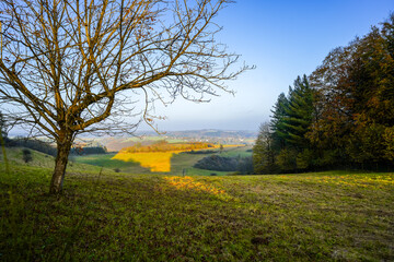 View of the landscape at the Windsborn Crater Lake near Bettenfeld. Nature at the crater lake in the Vulkaneifel National Park.
