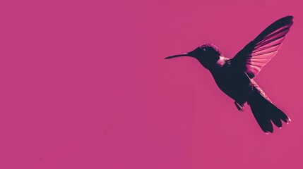 Obraz premium Hummingbird in Flight Against a Vibrant Pink Background with Copy Space for Your Creative Design