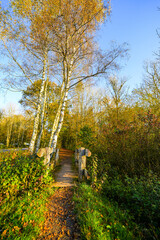 View of the landscape at the Holzmaar near Gillenfeld. Nature in the Volcanic Eifel region of Rhineland-Palatinate.
