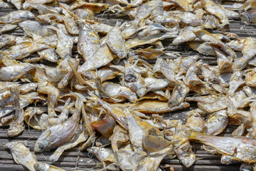 A large pile of dried fish on a wooden rack, basking in sunlight.