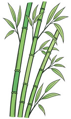 Obraz premium Illustration vector style, Three bamboo stalks with green leaves, light green and dark green gradient, black outlines, on a white background