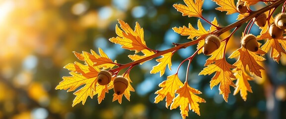 Golden oak branch, acorns glistening in sunlight,  acorn detail,  environment