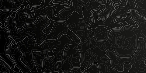 Abstract contours create a dynamic visual representation of a topographic landscape in black and white tones