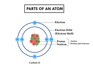 Atom structure model.Electron, nucleus of protons and neutrons and shells.Carbon 12 atom diagram.Atom molecule structure.Orbital electrons.
.Education for science or chemistry.Vector illustration.
