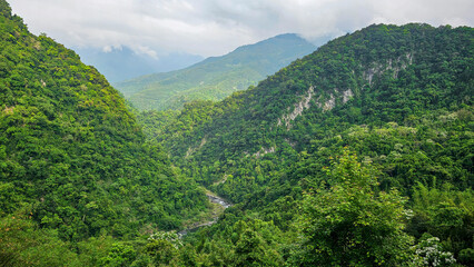 Obraz premium Must-visit hiking trails in Taiwan. Many hiking trails suitable for hikers of all levels. Self-guided trails with guided tours, visitors can gain a deeper understanding of Taiwan's forest ecology.
