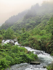 Must-visit hiking trails in Taiwan. Many hiking trails suitable for hikers of all levels. Self-guided trails with guided tours, visitors can gain a deeper understanding of Taiwan's forest ecology.