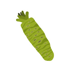 fresh wasabi root flat design vector illustration isolated on white background. Can use for asian food, spice spicy, asia herb, japan, vegetable. raw wasabi for japanese food Condiments for sushi