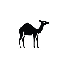 Simple black camel silhouette icon.  Perfect for desert themed designs.