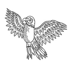 Soaring eagle outline vector illustration. Hand drawn eagle with open wings