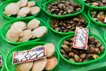 Scallops and clams displayed in green trays at a Japanese seafood market with handwritten price signs and shell textures clearly visible