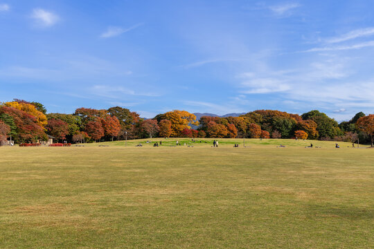 Autumn trees in Shinmaru Hiroba Kanazawa Castle Park, Japan display vivid foliage around a wide lawn with scattered visitors under a clear blue sky