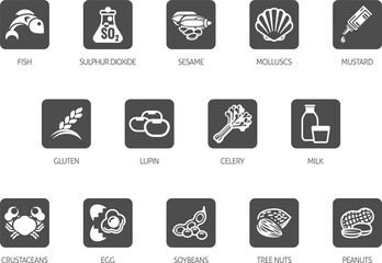 Allergen Food Major Allergy Icons