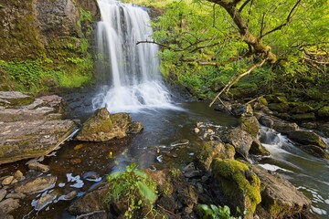 Fototapeta premium Waterfall in green envoirment