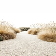 Gravel Path with Pampas Grass