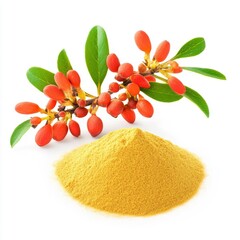 Red Sea Buckthorn Berries and Powder