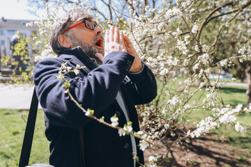 Senior man suffering from allergy sneezing near blooming tree