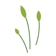 Simple flat design of a green plant with multiple small leaves, perfect for nature and botanical illustrations, symbolizing vitality, growth, and fresh organic life.

