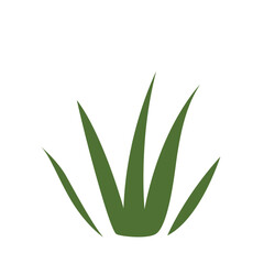 Flat design of tall, slender grass, ideal for outdoor scenes, nature-themed projects, or eco-friendly designs focused on fields, growth, and freshness.