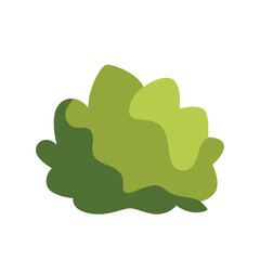Flat illustration of a textured green plant, perfect for nature designs, gardens, or eco-friendly projects focused on natural textures and environmental growth.

