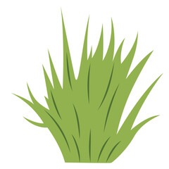 Flat design of tall, slender grass ideal for outdoor scenes, nature-themed projects, and environmental designs, symbolizing natural fields, meadows, and growth.

