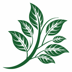 green leaves vector illustration