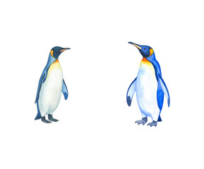 Fototapeta premium Two charming penguins standing side by side, showcasing their unique personalities.