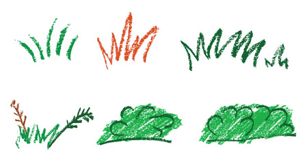 Set Various Grass and Plant, Crayon Sketch, at White Background