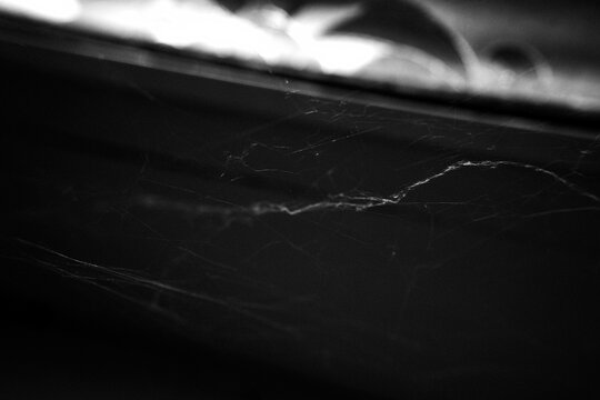 Dark black and white spiderweb