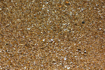 playa arenosa