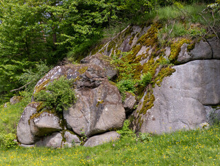 A large rock in the middle of a grassy field of yellow flowers