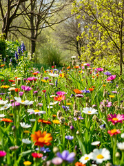 garden of a spring meadow, teeming with verdant life, blooming flowers, and exuberant revelry, encapsulates wondrous reawakening of existence - obrazy, fototapety, plakaty