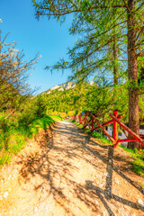 Peak Tri Koruny or Trzy Korony during day with green meadow and trees in spring. Pieniny National park in Slovakia and Poland © Zedspider