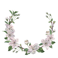 A semicircular wreath with delicate cherry blossoms, buds, leaves, and twigs. Hand drawn watercolor illustration on isolated background. Floral template for tableware, wedding design, greeting cards.