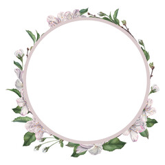 Wreath of cherry blossom, leaves, flower buds and twigs. Hand drawn watercolor illustration of round frame on isolated background. Floral template for tableware, wedding design, greeting cards.