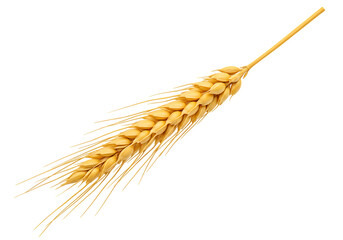 Single golden wheat ear isolated on black background representing harvest agriculture and natural food sources with a clean minimalist aesthetic